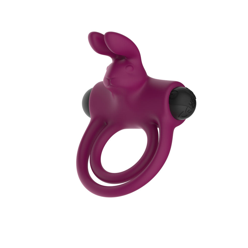 Passion Play Silicone Rabbit Vibrating Cockring - Purple USB Rechargeable Vibrating Penis and Balls Ring