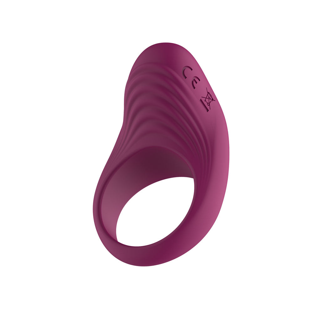 Passion Play Silicone Vibrating Cockring - Purple USB Rechargeable Penis Ring