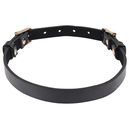 Sex & Mischief Double Buckle Day Collar