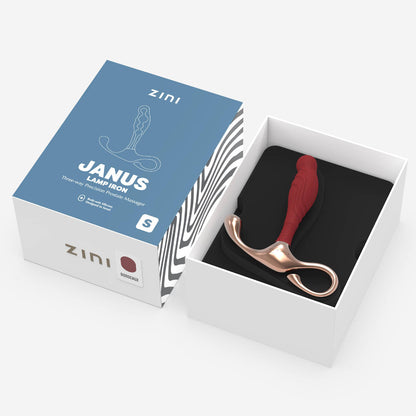 Zini Janus Lamp Iron - Small